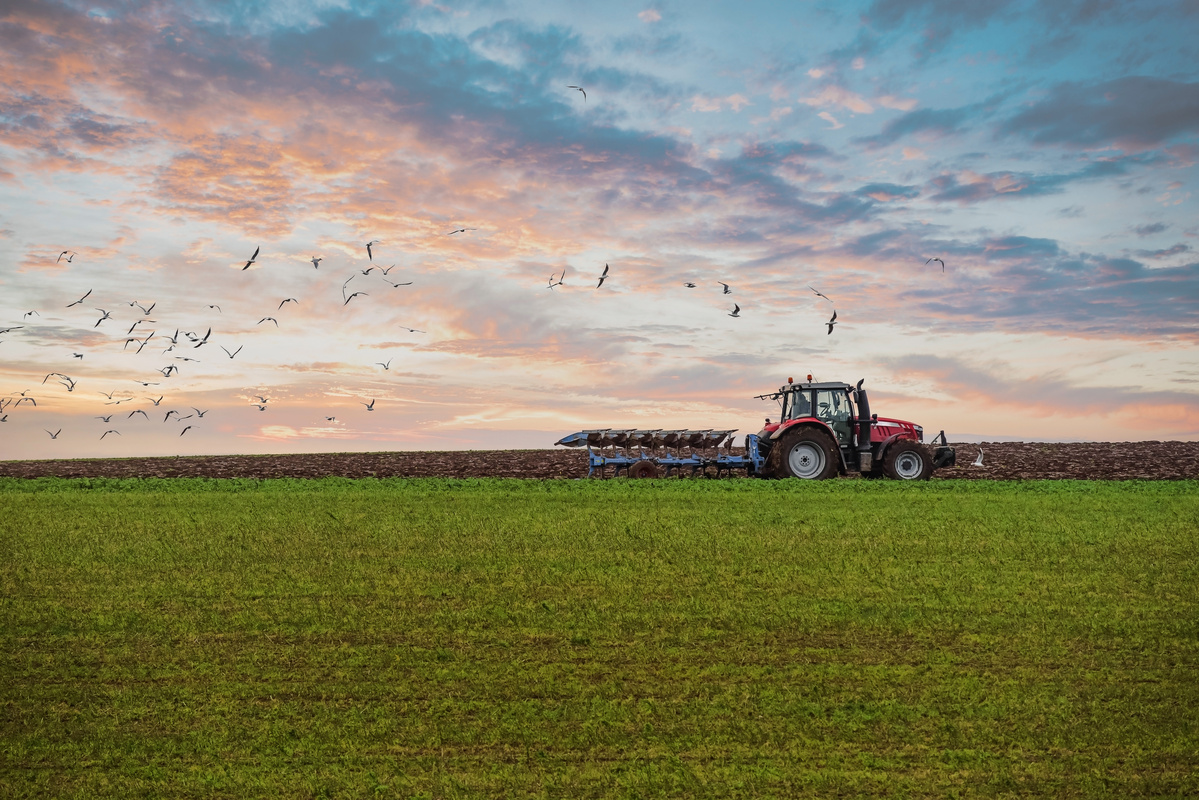 Tipuri de asigurări agricole și riscuri asigurate